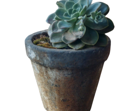 Small Planters