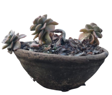 Small Planters