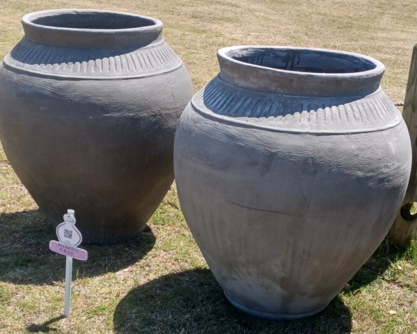 Large Display Pots